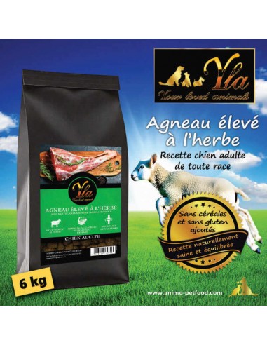 Croquettes à l’agneau sans céréales pour chien adulte avec digestion sensible