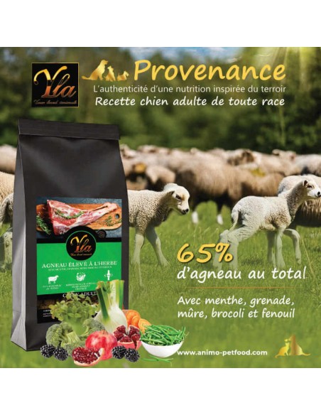 Croquettes à l’agneau pour chien adulte, idéales en cas de digestion difficile