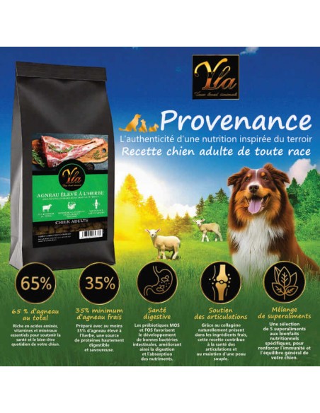 Croquettes à l’agneau hypoallergéniques sans céréales pour chien adulte sensible