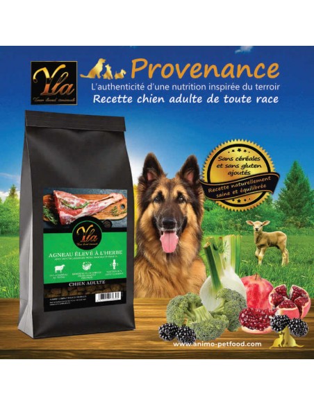 Croquettes naturelles à l’agneau pour chien adulte, digestion facile et bien-être articulaire