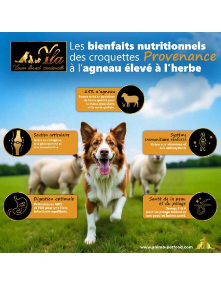 Croquettes sans céréales ni gluten à l’agneau pour chien adulte sensible