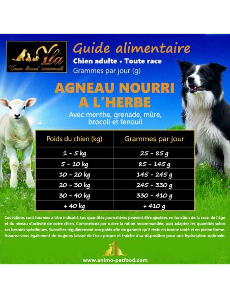 Conseils pour ajuster la ration de croquettes à l’agneau selon l’activité du chien