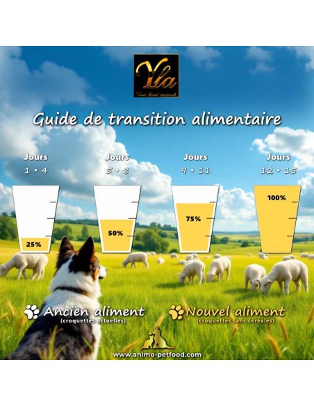 Courbe de progression recommandée pour la transition alimentaire croquettes à l’agneau