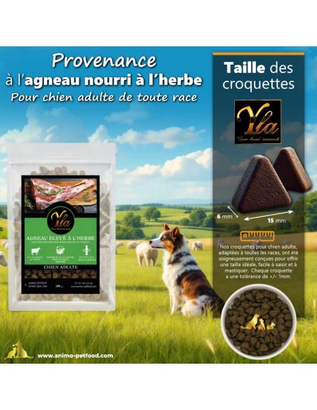 Taille et forme triangulaire des croquettes à l’agneau pour chien adulte