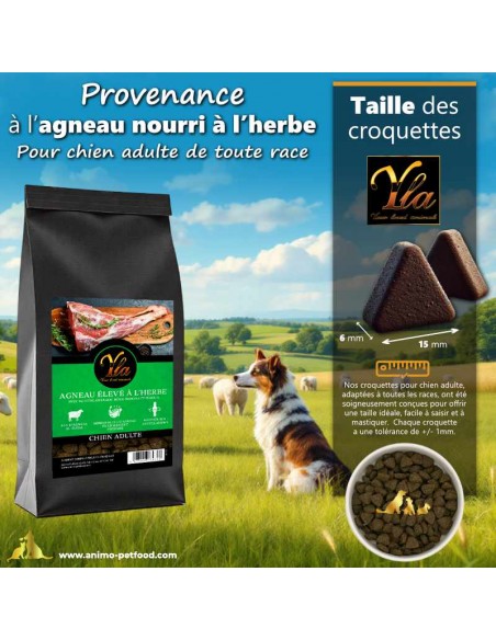 Effet abrasif naturel de la forme triangulaire des croquettes pour l’hygiène bucco-dentaire du chien