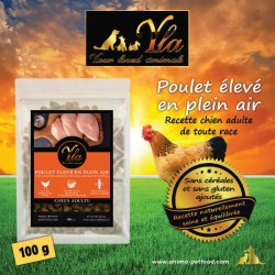 Croquettes pour chien adulte, poulet élevé en plein air, sans céréales ni gluten.