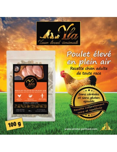 Croquettes pour chien adulte, poulet élevé en plein air, sans céréales ni gluten.