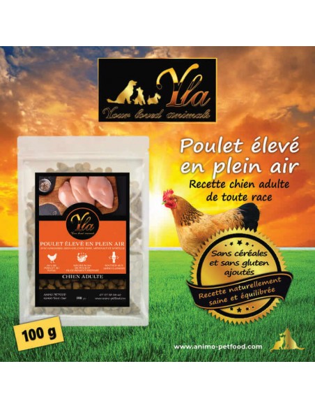 Croquettes pour chien adulte, poulet élevé en plein air, sans céréales ni gluten.