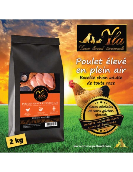 Croquettes naturelles sans céréales pour chien adulte, avec poulet et superaliments pour une alimentation saine et équilibrée.