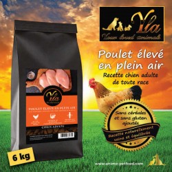 Croquettes pour chien adulte, poulet élevé en plein air, alimentation complète.
