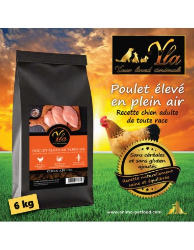 Croquettes pour chien adulte, poulet élevé en plein air, alimentation complète.