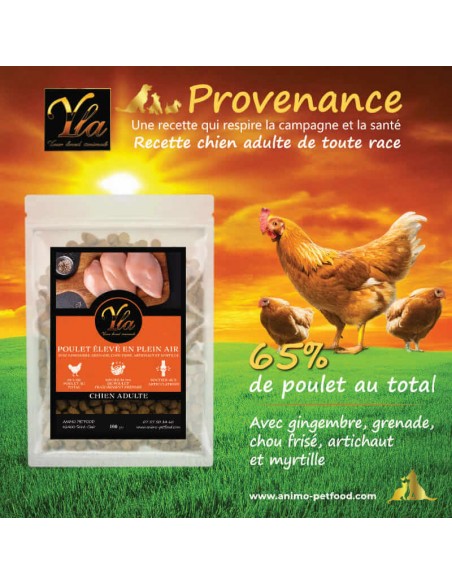 Croquettes naturelles pour chien adulte, poulet élevé en plein air, sans céréales ni gluten.