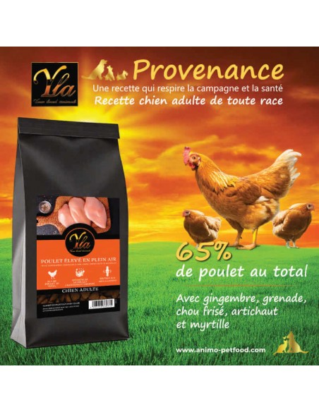Croquettes naturelles sans céréales pour chien adulte, avec poulet et superaliments pour une alimentation saine et équilibrée.