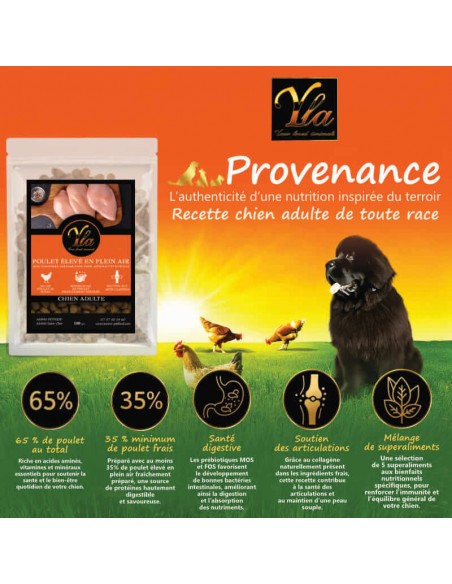 Croquettes pour chien adulte exigeant, poulet élevé en plein air, sans céréales ni gluten.