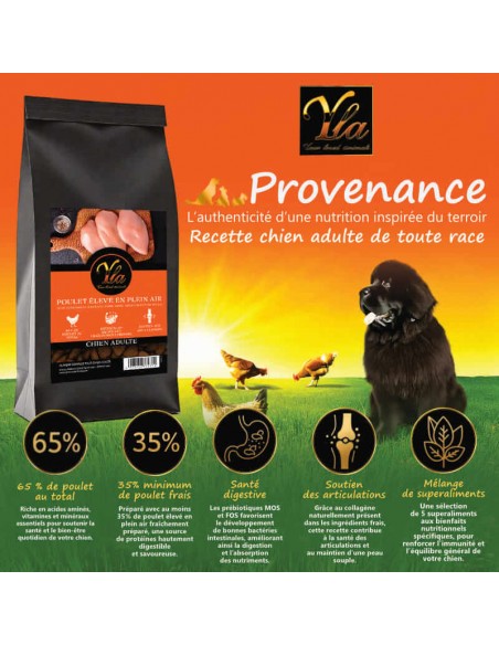 Croquettes sans gluten pour chien adulte, poulet élevé en plein air, alimentation saine et équilibrée.