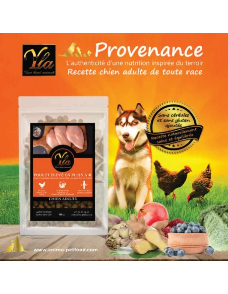 Croquettes pour chien adulte avec superaliments et collagène, alimentation naturelle, riche en poulet élevé en plein air.