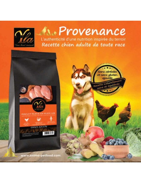 Croquettes pour chien adulte, superaliments, poulet élevé en plein air, nutrition fonctionnelle.
