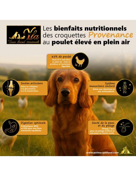 Croquettes naturelles pour chien adulte, digestion, articulations et peau.
