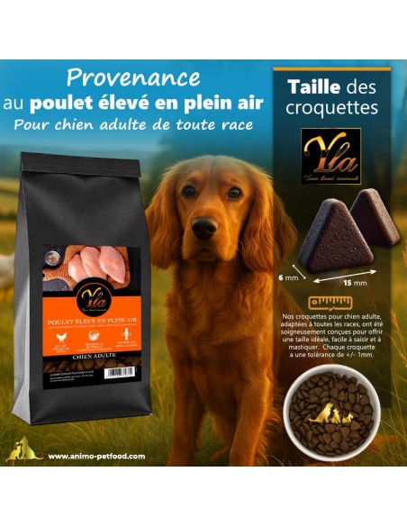 Croquettes de forme ergonomique, idéales pour la mastication des chiens adultes