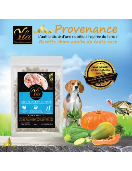 Croquettes naturelles à la dinde pour chien adulte – recette avec superaliments sans céréales