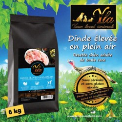 Croquettes naturelles à la dinde pour chien adulte – sans céréales, digestes, enrichies en superaliments