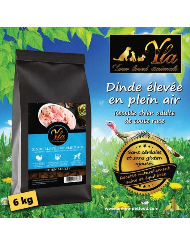 Croquettes naturelles à la dinde pour chien adulte – sans céréales, digestes, enrichies en superaliments