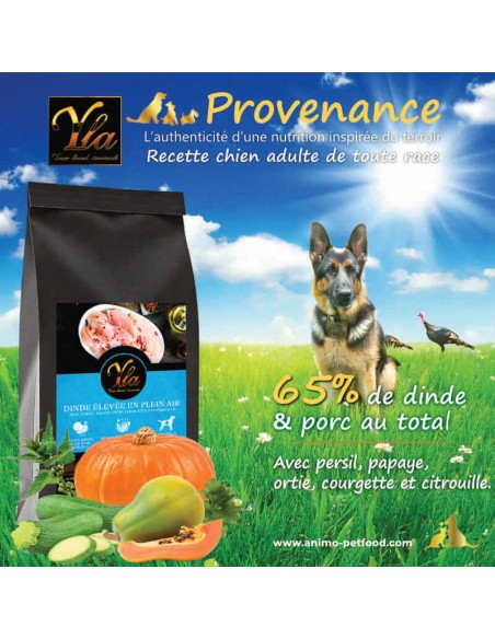 Croquettes naturelles pour chien adulte à la dinde – recette sans céréales et riches en superaliments