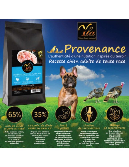 Bienfaits des croquettes YLA Dinde – digestion facile, peau saine, soutien articulaire pour chien adulte