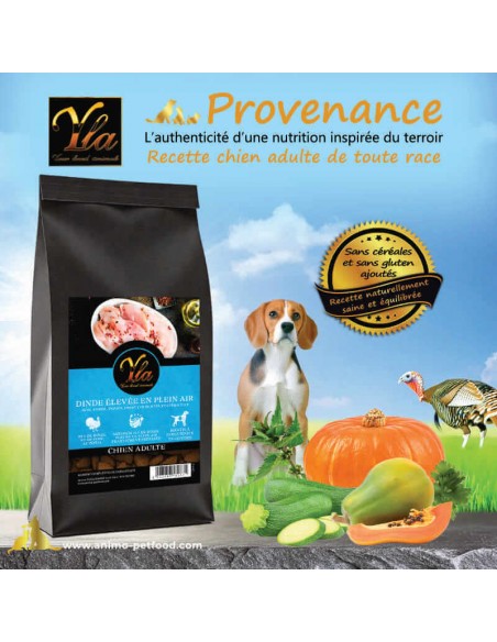 Croquettes sans céréales avec superaliments – papaye, ortie, persil, courgette pour chien adulte
