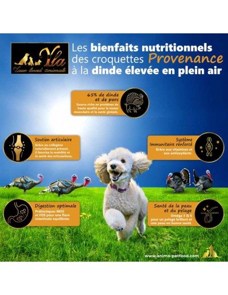 Recette à la dinde avec collagène naturel, oméga-3 et superaliments pour le bien-être digestif et articulaire