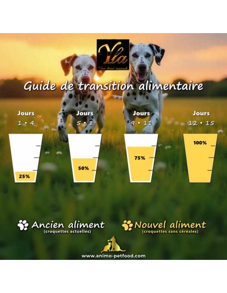 Schéma de transition alimentaire en 4 phases pour chien adulte sensible