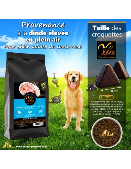 Croquettes sans céréales avec texture facile à saisir et mâcher