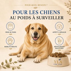 Croquettes YLA CIBL’SOIN 1,5 kg pour chien en surpoids, contrôle du poids et soutien articulaire 2