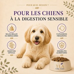 Croquettes YLA CIBL’SOIN 1,5 kg pour chien à digestion sensible, à la dinde hydrolysée 2