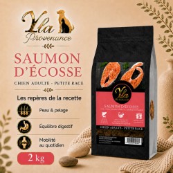 Croquettes naturelles au saumon d’Écosse pour petit chien adulte, sans céréales.