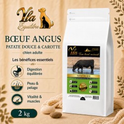 Croquettes sans céréales au bœuf Angus pour chien adulte YLA Équilibre, sac de 2 kg avec patate douce et carotte