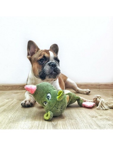 peluche pour gros chien