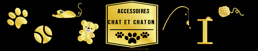 Jeux et jouets pour chat et chaton