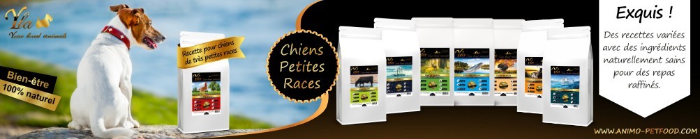 Croquettes sans céréales pour chiens de petites races