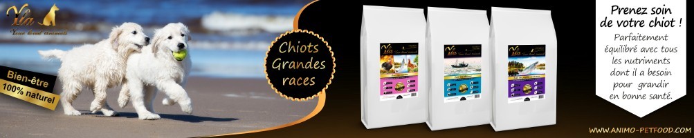 Croquettes sans céréale pour chiots grandes races