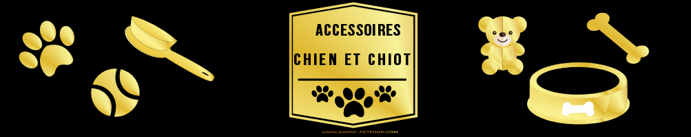 Accessoires pour chien