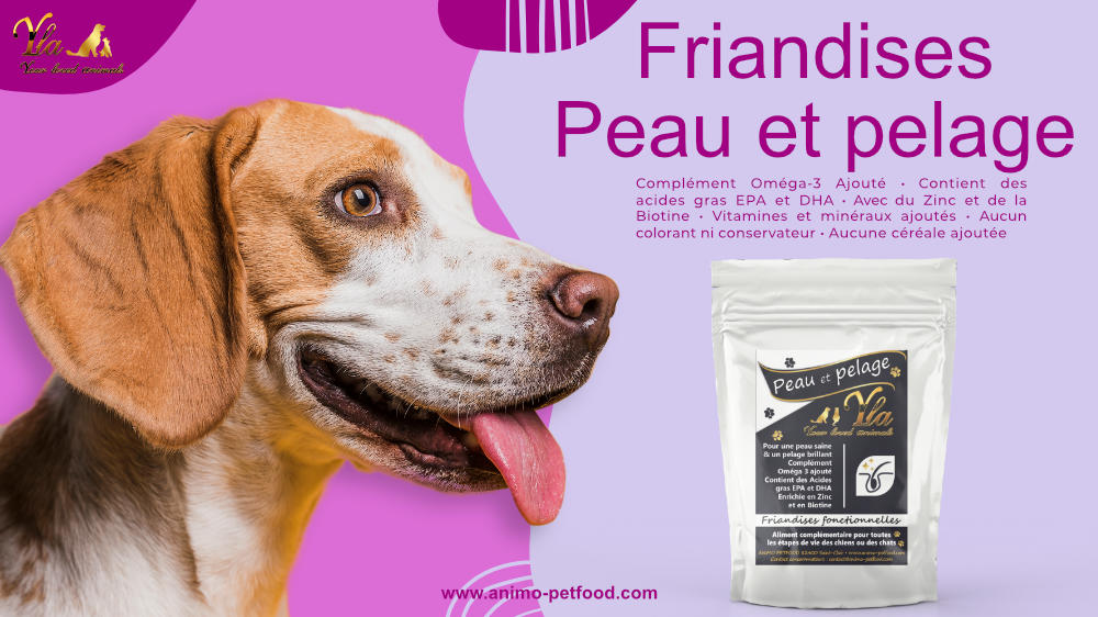 friandises peau et pelage pour chien