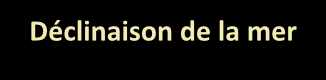 nourriture-riche-en-poisson-pour-chien-avec-sensibilite-digestive-et-dermatologique