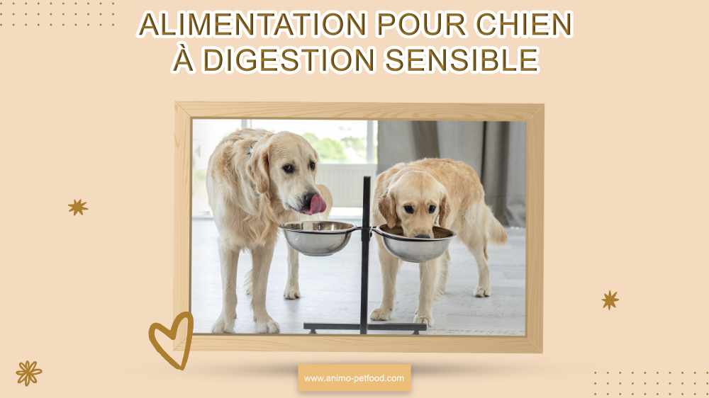 aliment-pour-chien-adulte-a-digestion-sensible