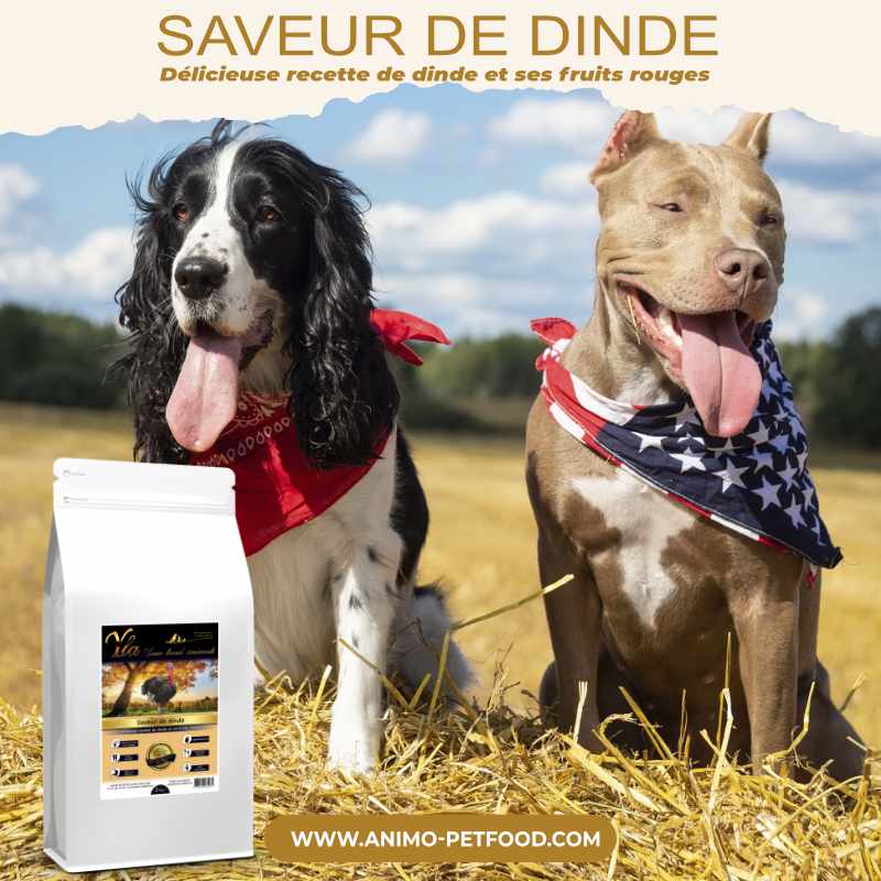 alimentation-sans-cereales-yla-grain-free-natural-dinde-et-cranberry-chien-adulte