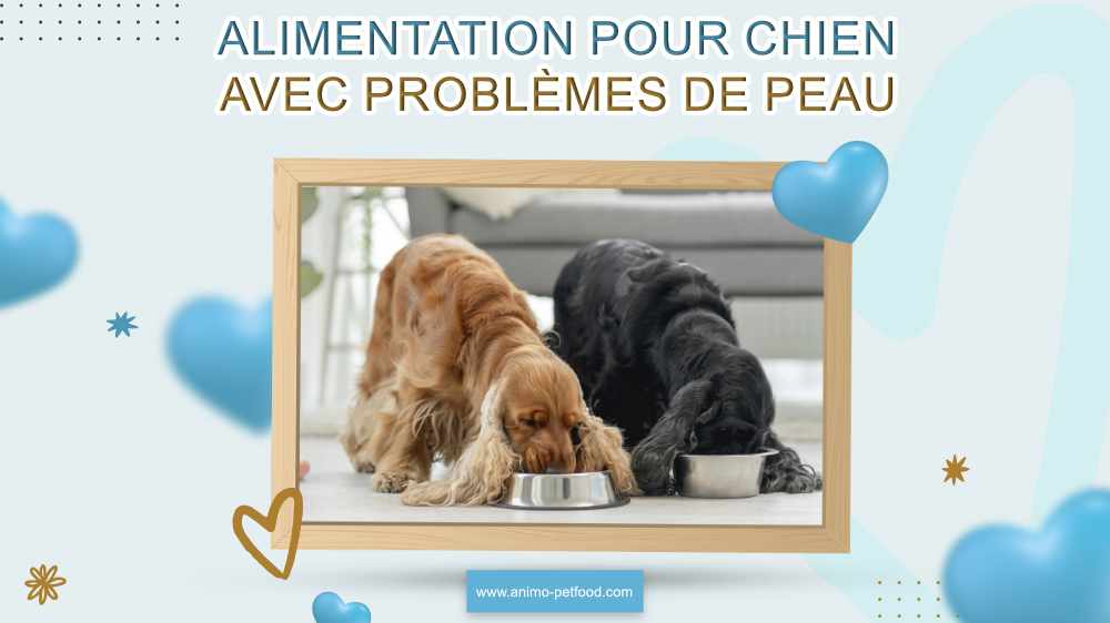 alimentation-pour-chien-avec-problemes-de-peau