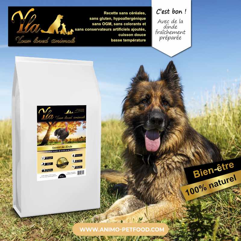 alimentation-sans-cereale-pour-chien-avec-sensibilité-digestive