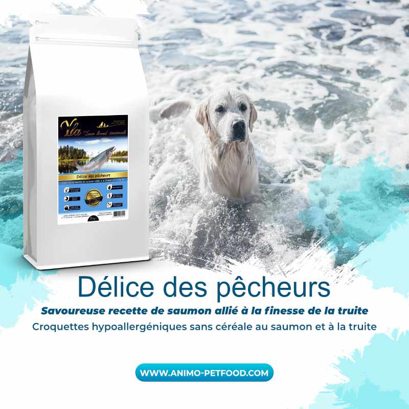 croquettes-pour-chien-sans-cereale-hypoallergeniques