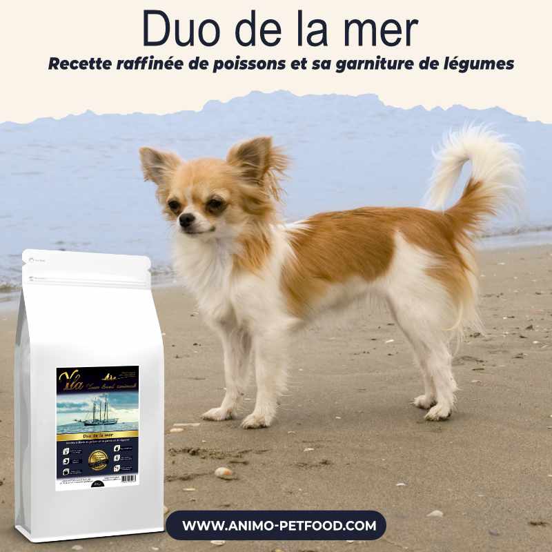 nourriture hypoallergénique au poisson pour chiens