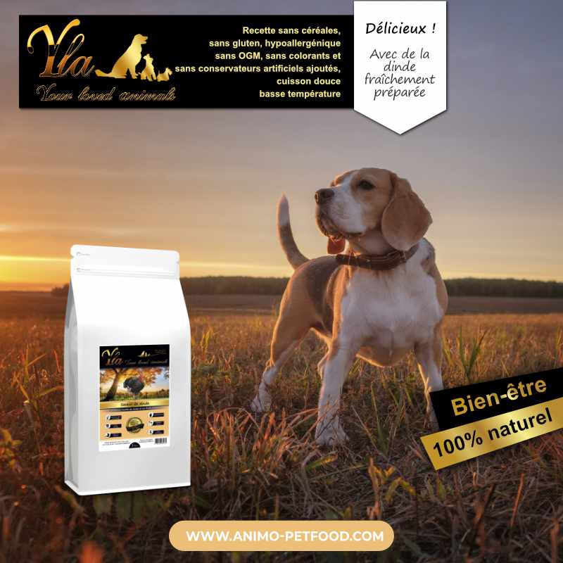 nourriture-pour-chien-estomac-sensible